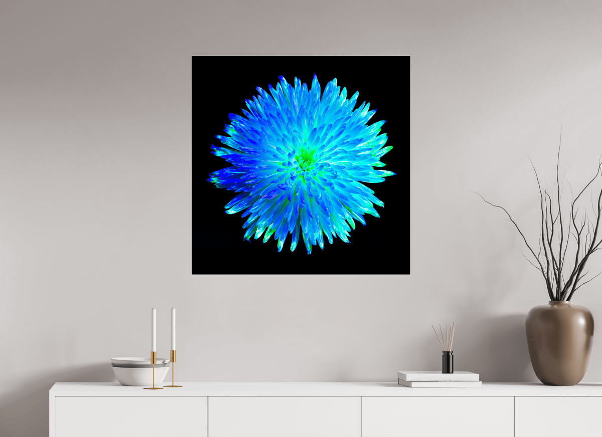 L’Astre Bleu - Idealart