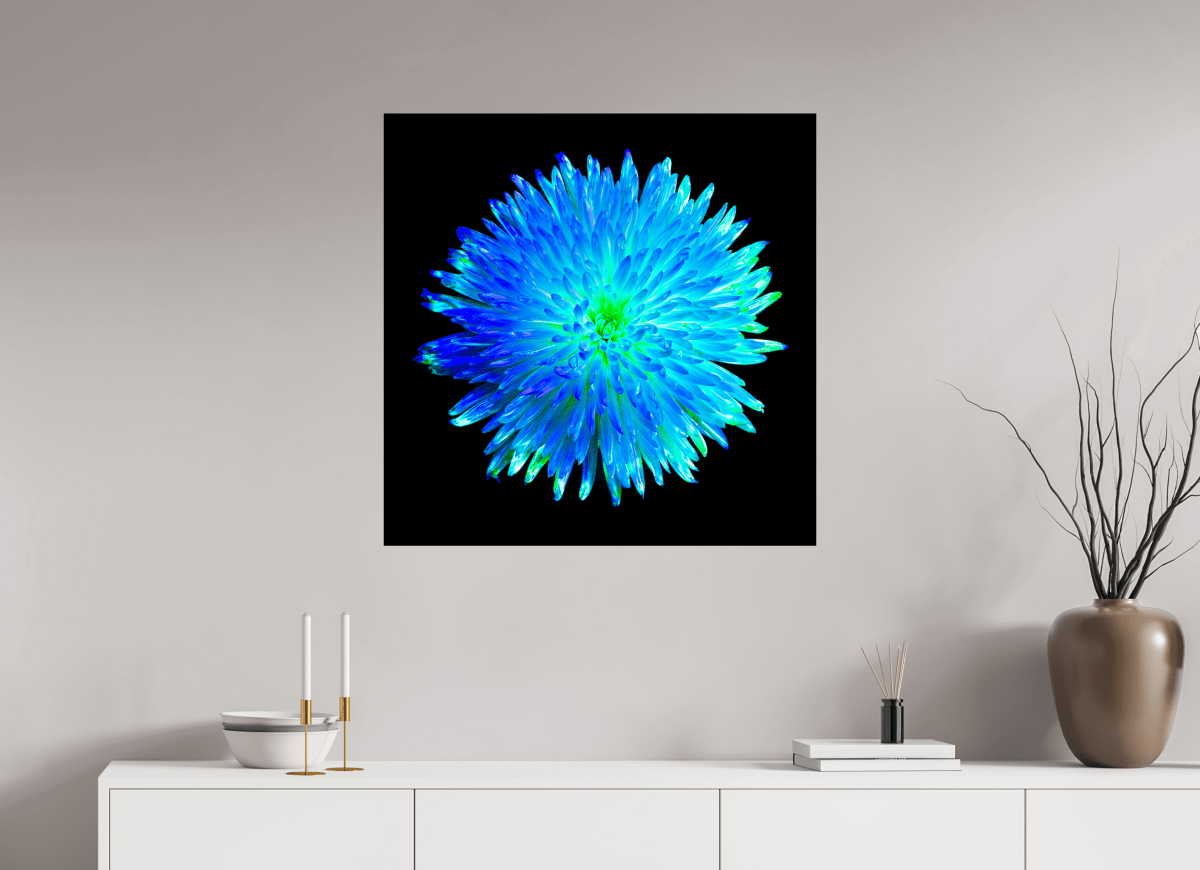 L’Astre Bleu - Idealart