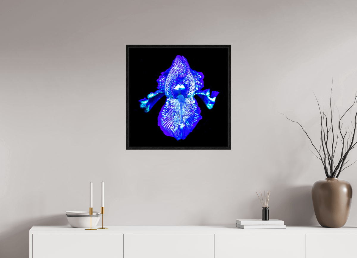 Iris des Profondeurs Lumineuses - Idealart