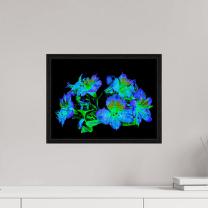 Constellation Florale - Idealart