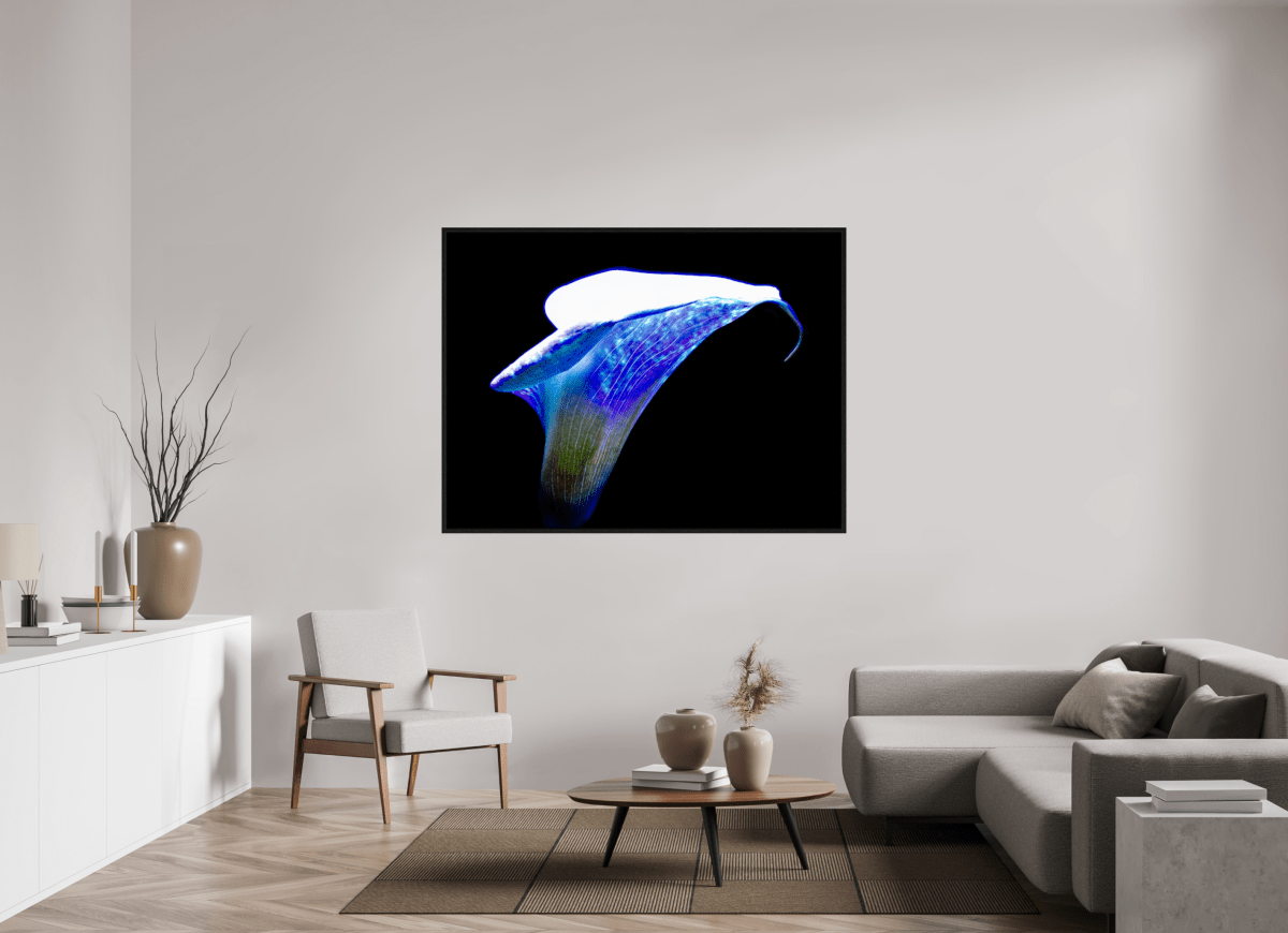 L’Aile de Lumière La Voix des Éthers - Idealart