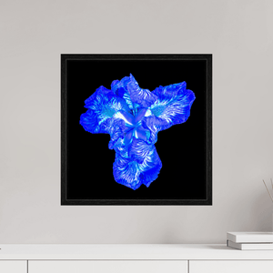 Iris du Cœur Lumineux - Idealart