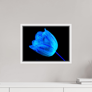 À l’abri de ta lumière - Idealart