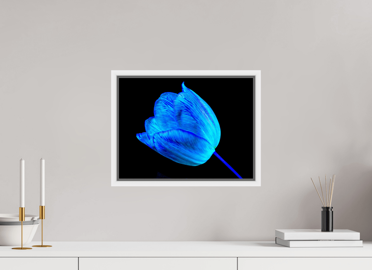 À l’abri de ta lumière - Idealart