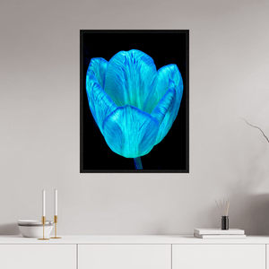 Calice de lumière - Idealart