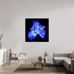 L’Opale des Ombres - Idealart