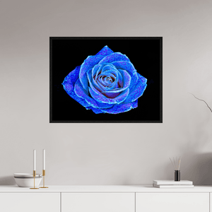 La Rose aux mille constellations - Idealart