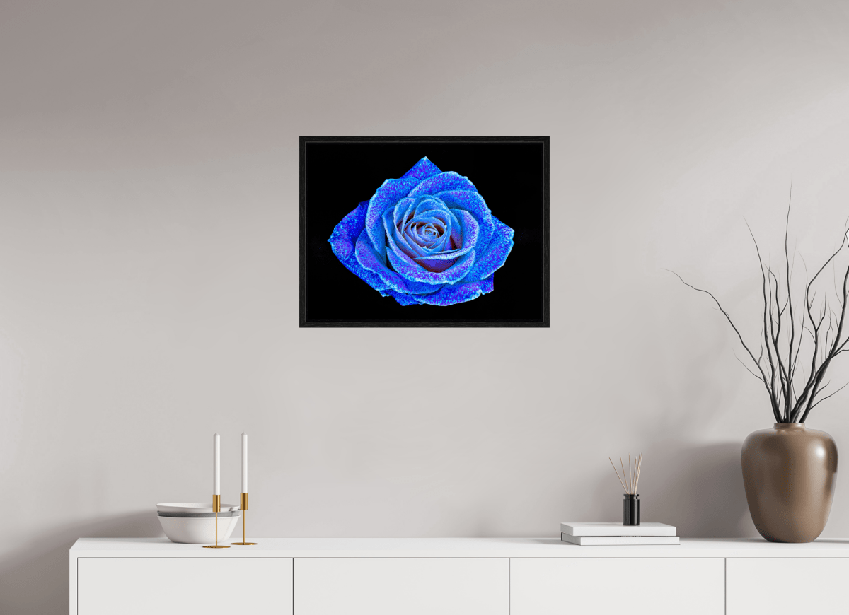 La Rose aux mille constellations - Idealart