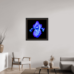 Iris des Profondeurs Lumineuses - Idealart