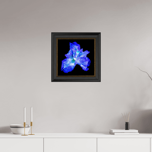 L’Opale des Ombres - Idealart