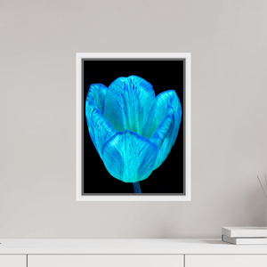 Calice de lumière - Idealart