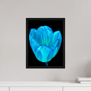 Calice de lumière - Idealart