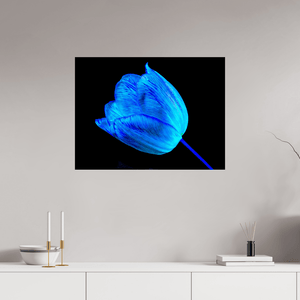 À l’abri de ta lumière - Idealart