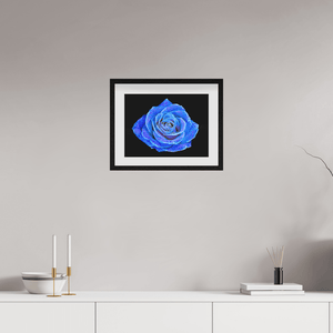 La Rose aux mille constellations - Idealart