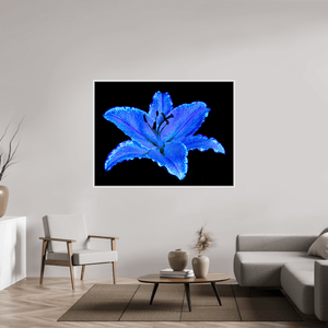Le Lys Astral - Idealart
