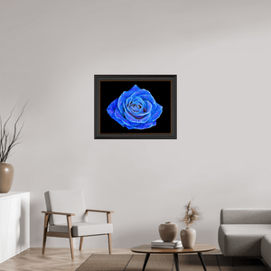 La Rose aux mille constellations - Idealart