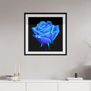 La Rose qui Rêvait le Ciel - Idealart
