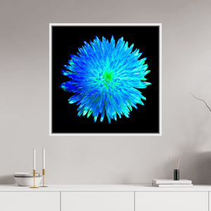 L’Astre Bleu - Idealart