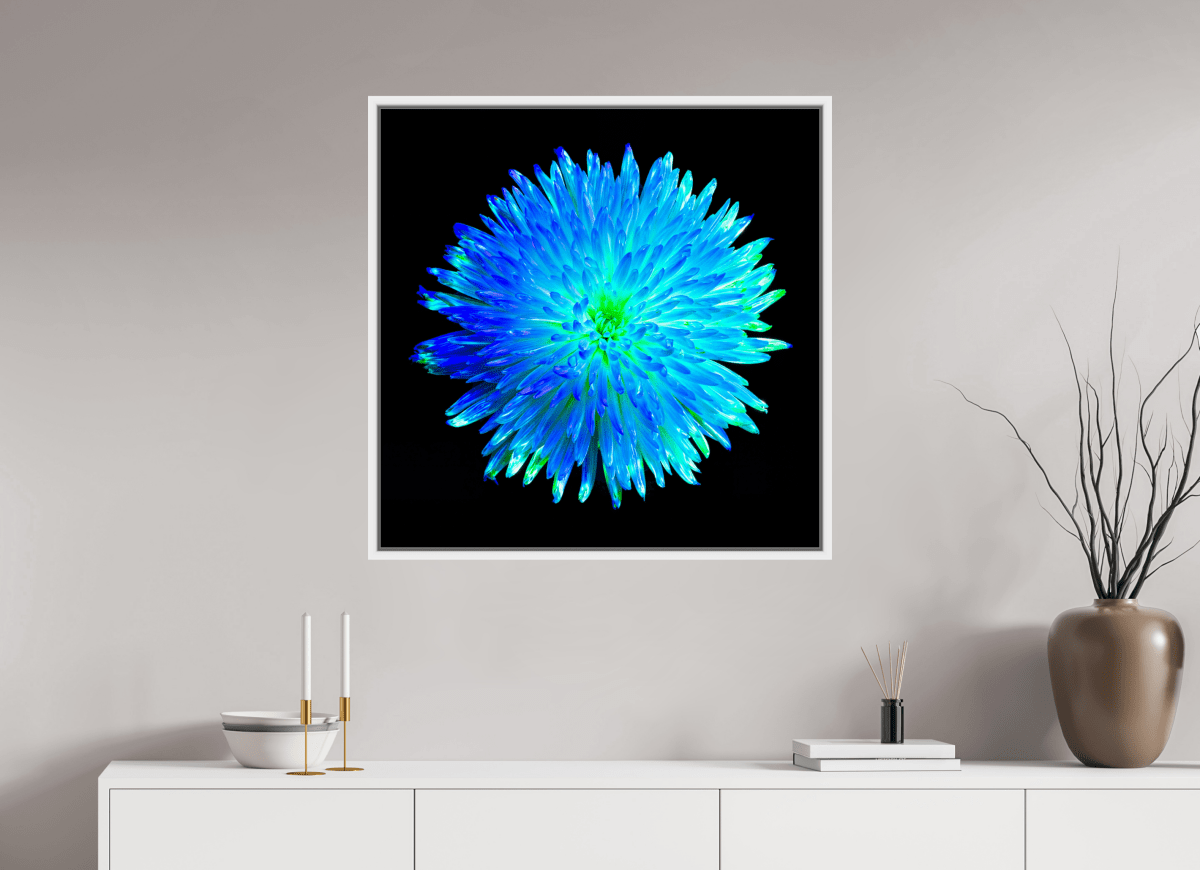 L’Astre Bleu - Idealart