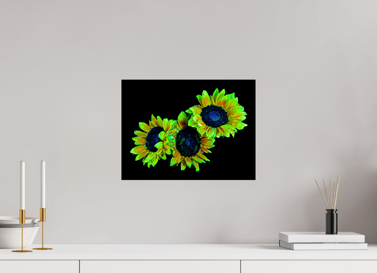 Les gardiens du jour endormi - Idealart