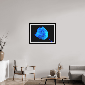 À l’abri de ta lumière - Idealart