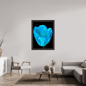 Calice de lumière - Idealart