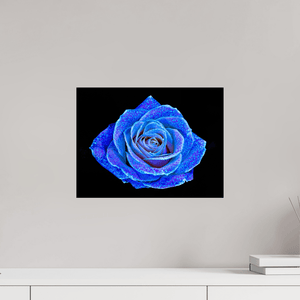 La Rose aux mille constellations - Idealart