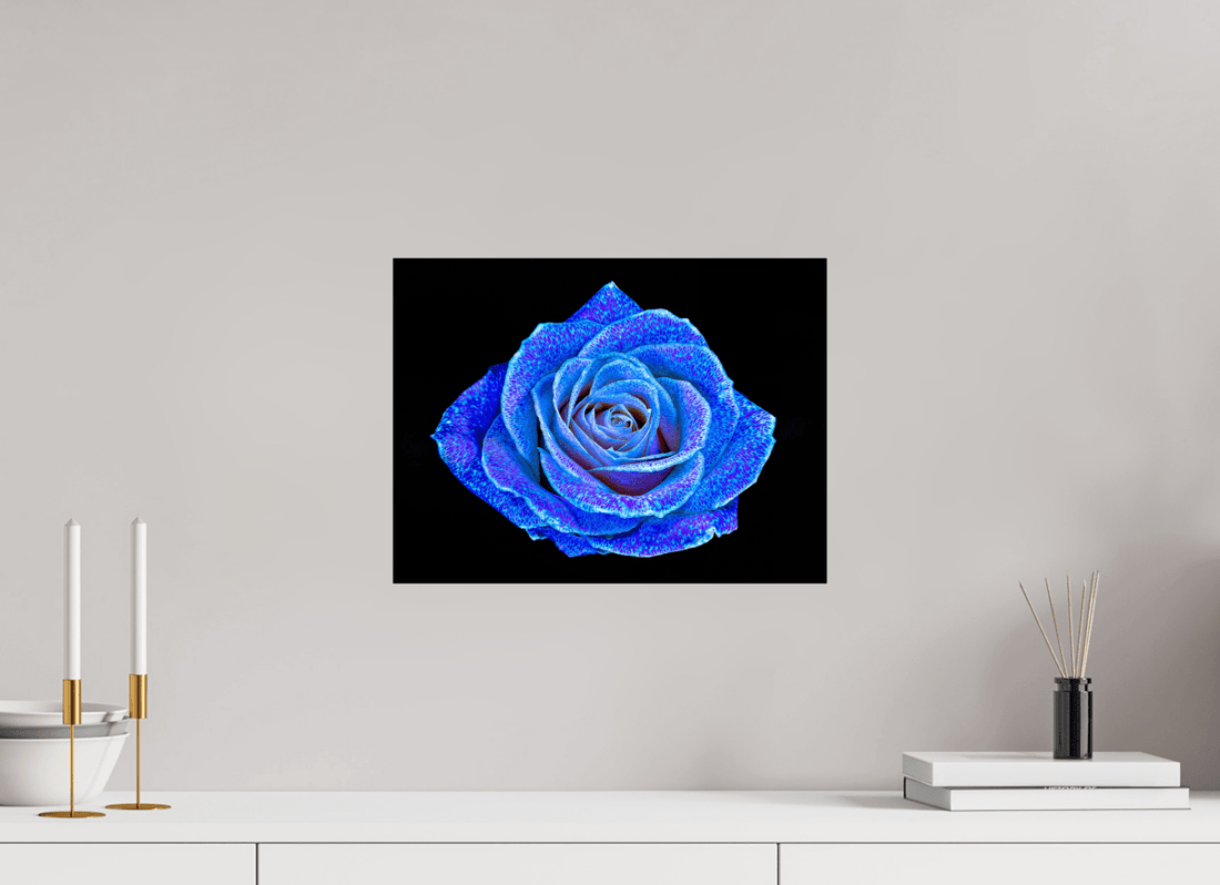 Main image La Rose aux mille constellations