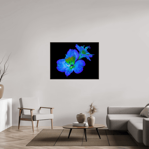 Alstroemeria des Lueurs Cachées - Idealart