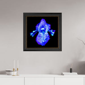 Iris des Profondeurs Lumineuses - Idealart