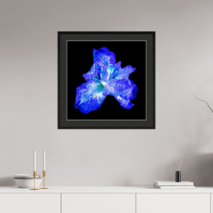 L’Opale des Ombres - Idealart