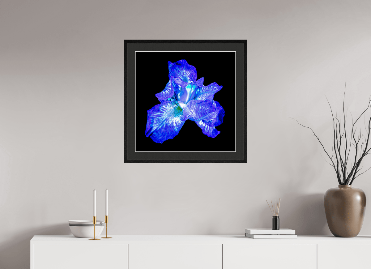 L’Opale des Ombres - Idealart