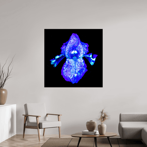 Iris des Profondeurs Lumineuses - Idealart