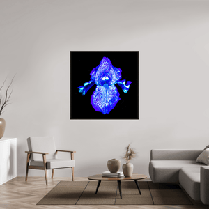 Iris des Profondeurs Lumineuses - Idealart