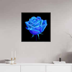 La Rose qui Rêvait le Ciel - Idealart