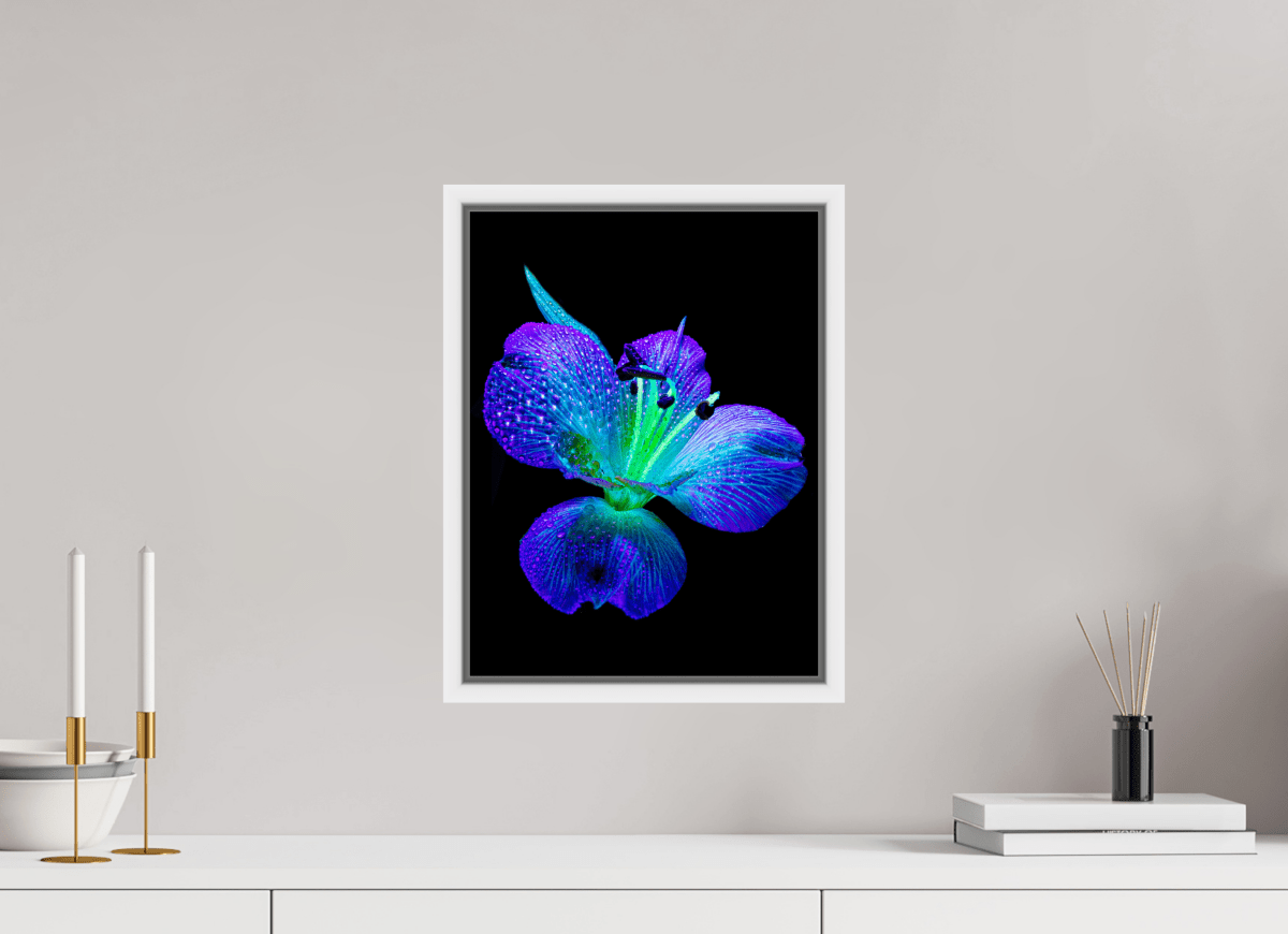 L’éclat des ailes dans la rosée - Idealart