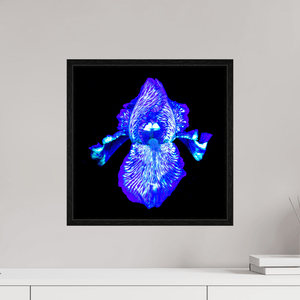 Iris des Profondeurs Lumineuses - Idealart
