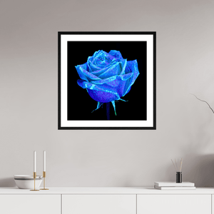 La Rose qui Rêvait le Ciel - Idealart