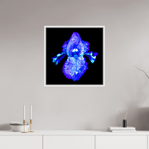 Iris des Profondeurs Lumineuses - Idealart