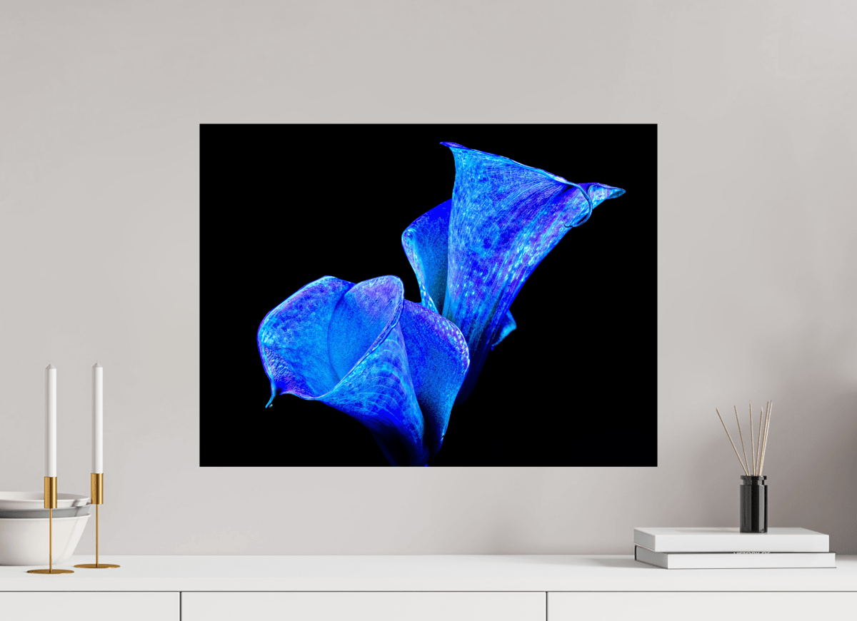 Murmure d’Abysses - Idealart