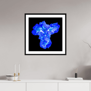 Iris du Cœur Lumineux - Idealart