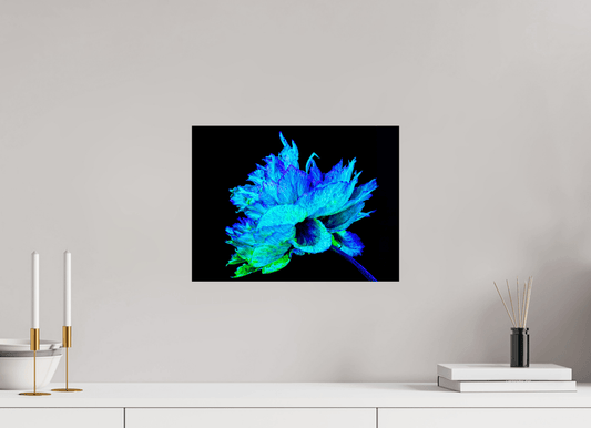 L’Éclat Bleu de la Pivoine Astrale - Idealart