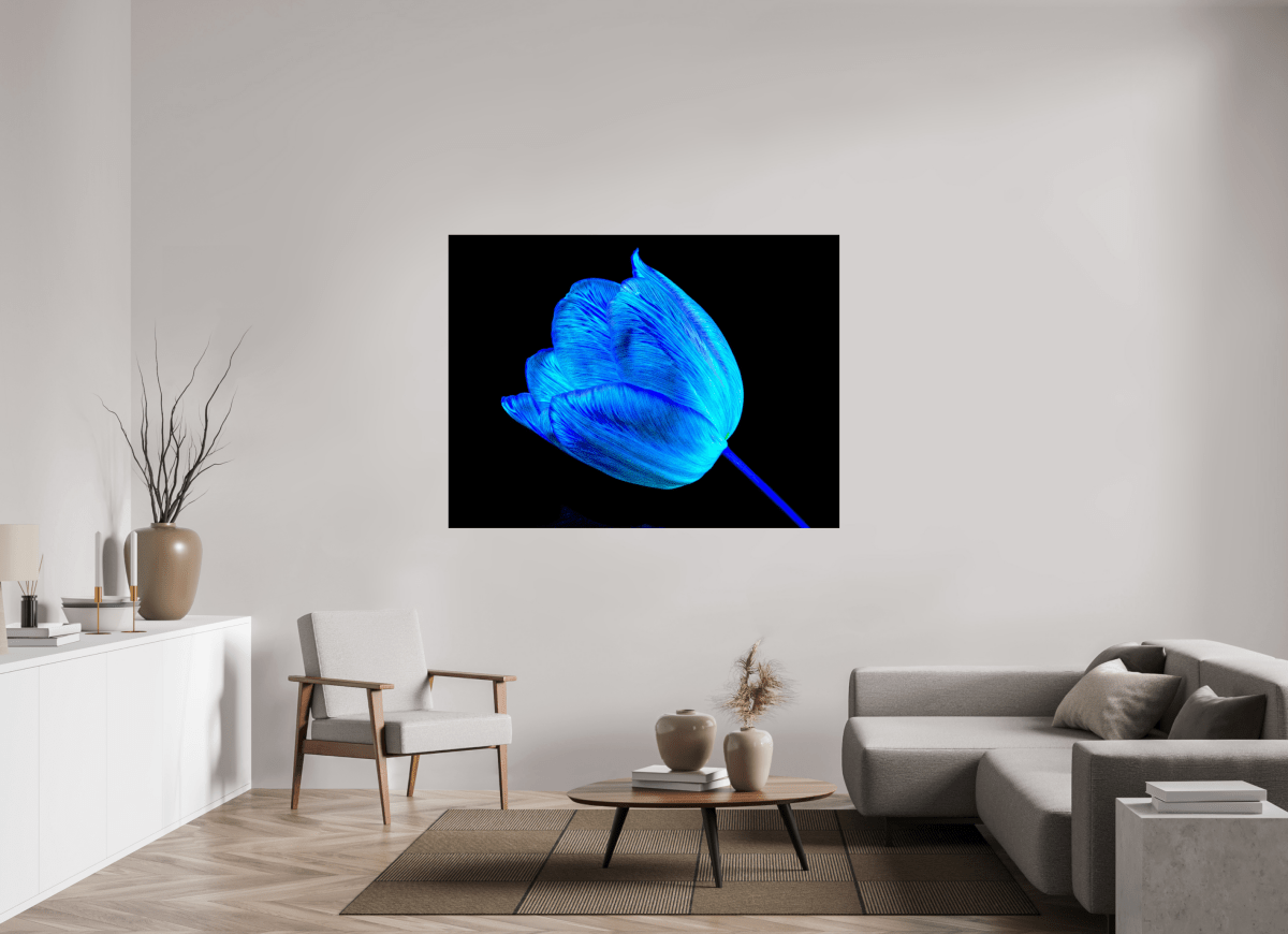 À l’abri de ta lumière - Idealart