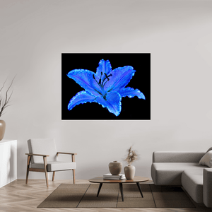 Le Lys Astral - Idealart