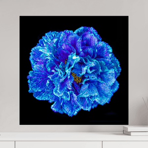 Le Cœur Bleu qui S’ouvre à la Nuit - Idealart
