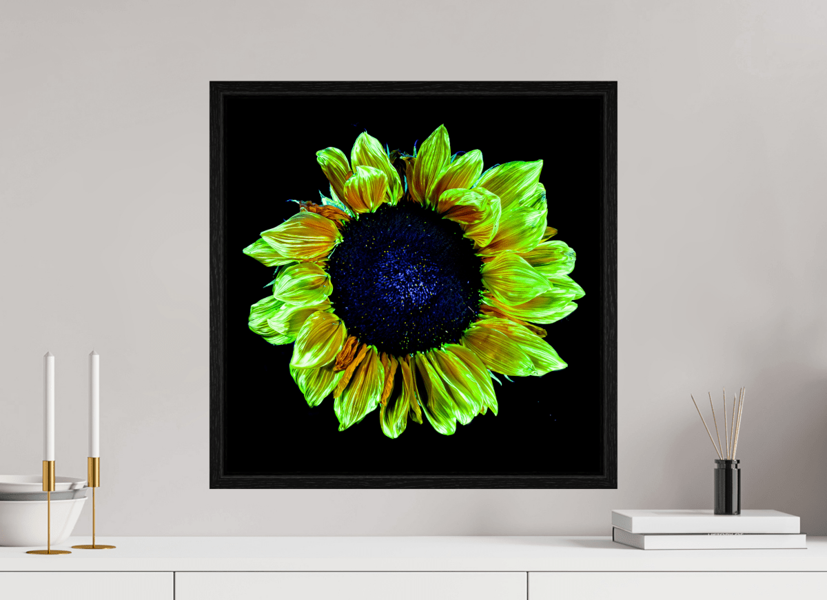 Couronne de lumière - Idealart