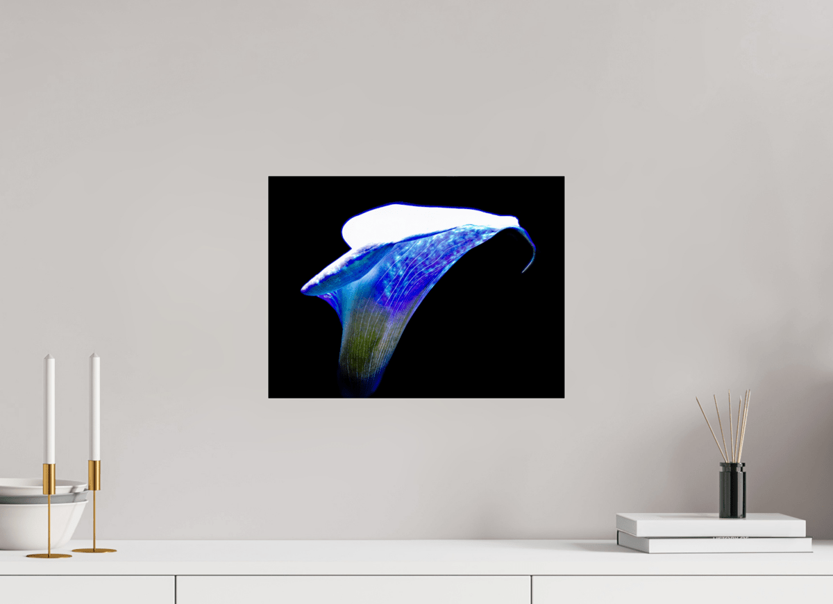 L’Aile de Lumière La Voix des Éthers - Idealart