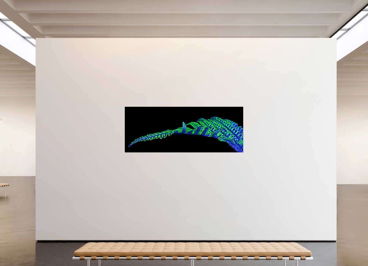 La Ligne des Origines - Idealart