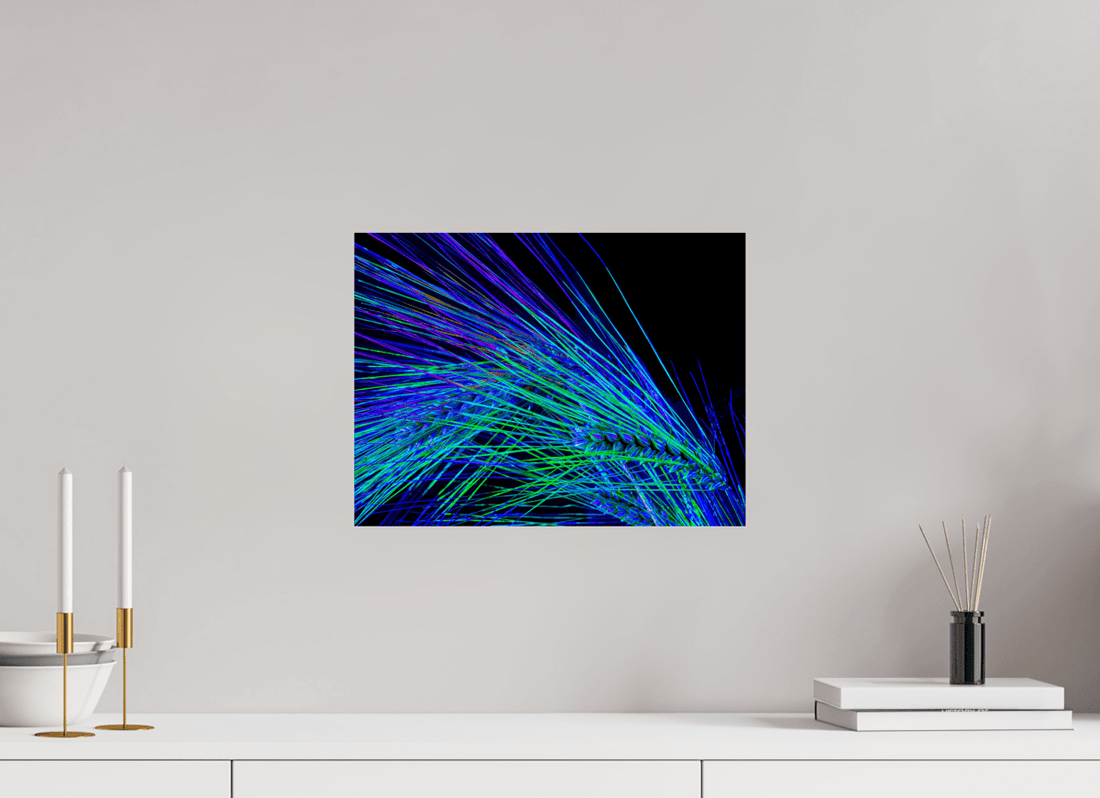Main image Danse des Épis Électriques