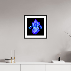Iris des Profondeurs Lumineuses - Idealart